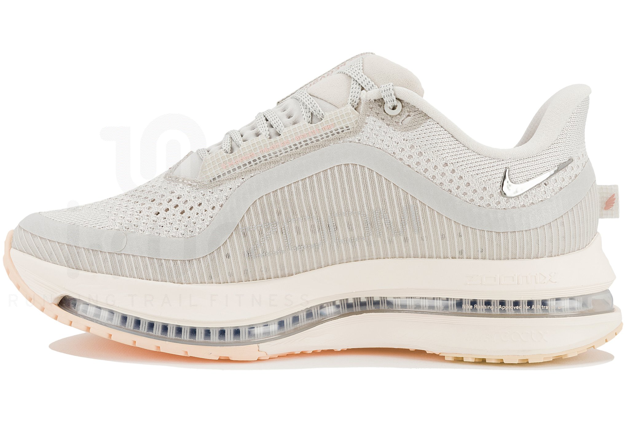 Nike Pegasus Premium