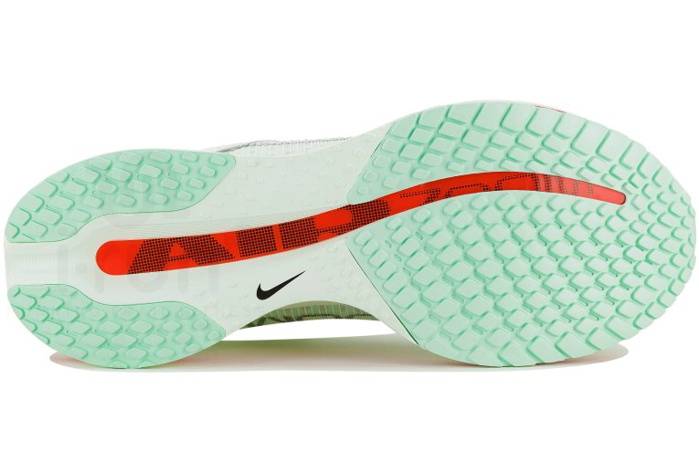 Nike Pegasus Premium 
