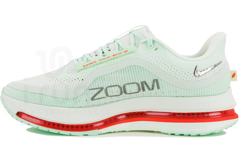 Nike Pegasus Premium 