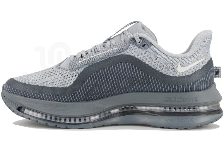 Nike Pegasus Premium Herren