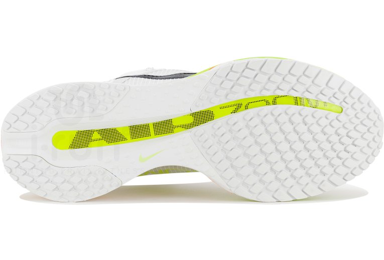 Nike Pegasus Premium