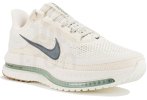 Nike Pegasus Premium