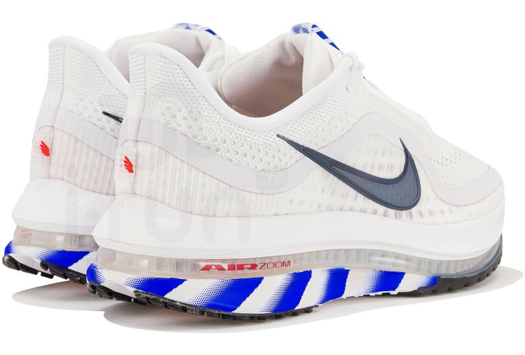 Nike Pegasus Premium 