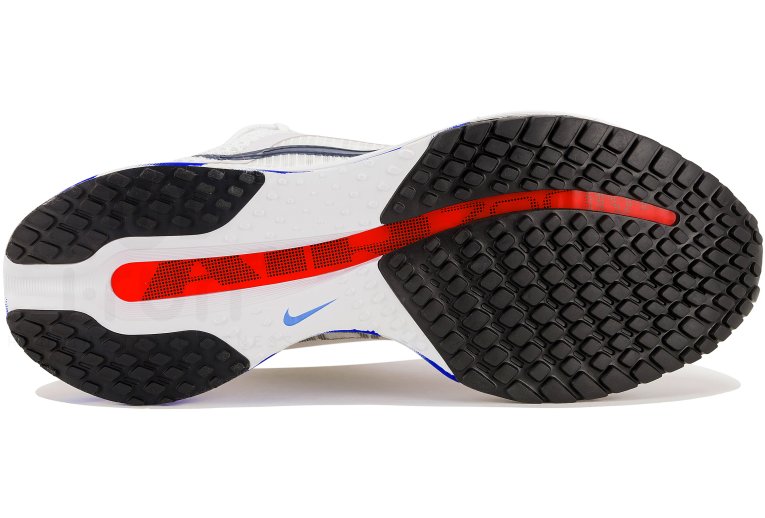 Nike Pegasus Premium 