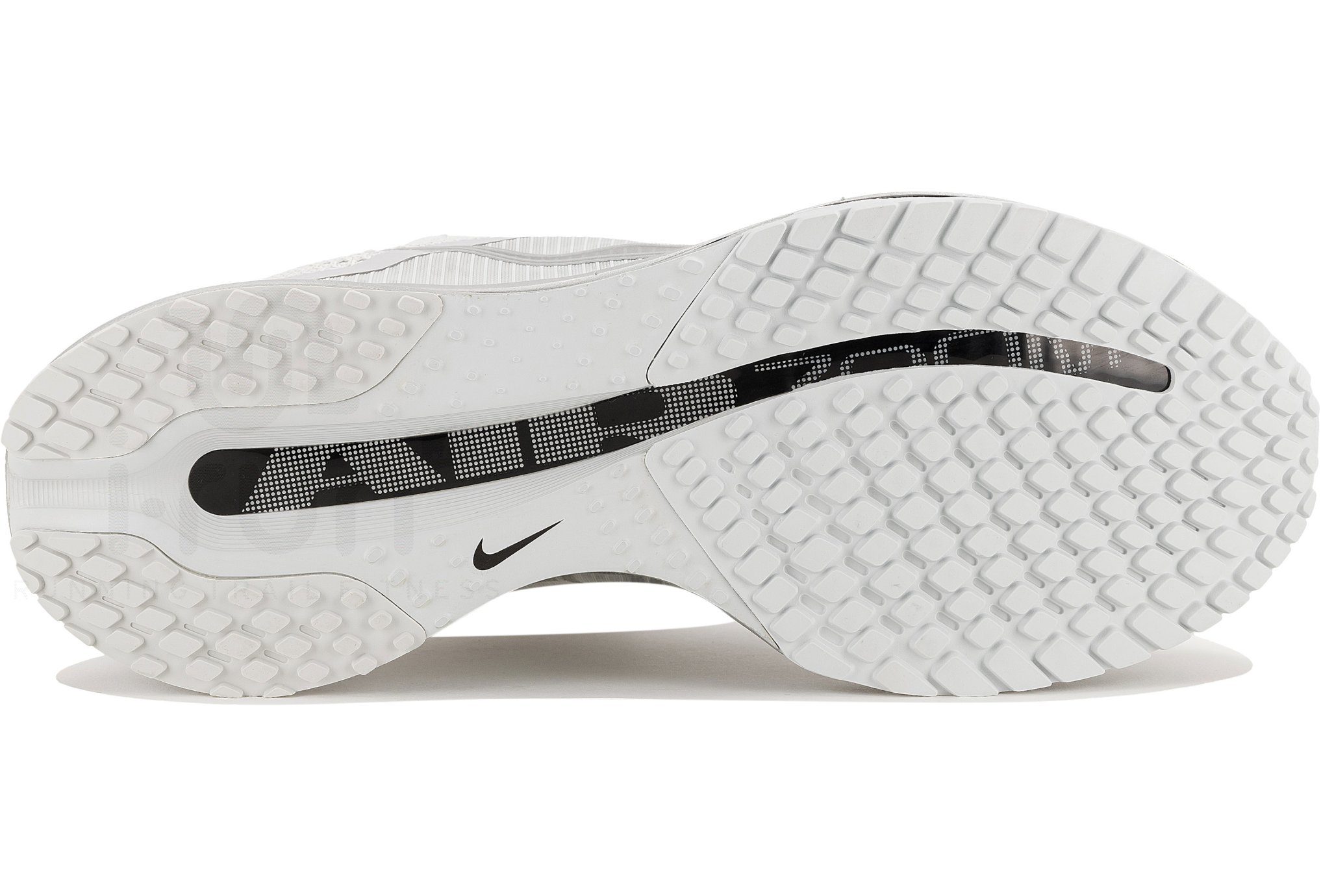 Nike Pegasus Premium RR
