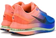 Nike Pegasus Premium