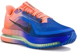 Nike Pegasus Premium