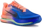 Nike Pegasus Premium