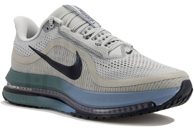 Nike Pegasus Premium