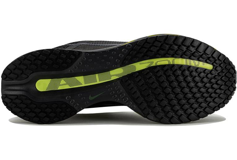 Nike Pegasus Premium