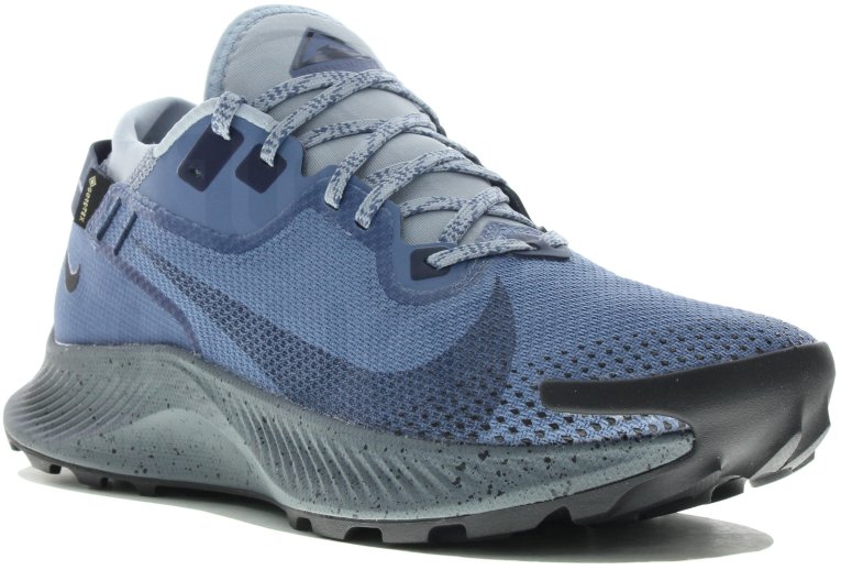 Nike Pegasus Trail 2 Gore-Tex