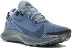 Nike Pegasus Trail 2 Gore-Tex
