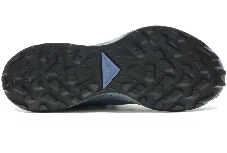 Nike Pegasus Trail 2 Gore-Tex