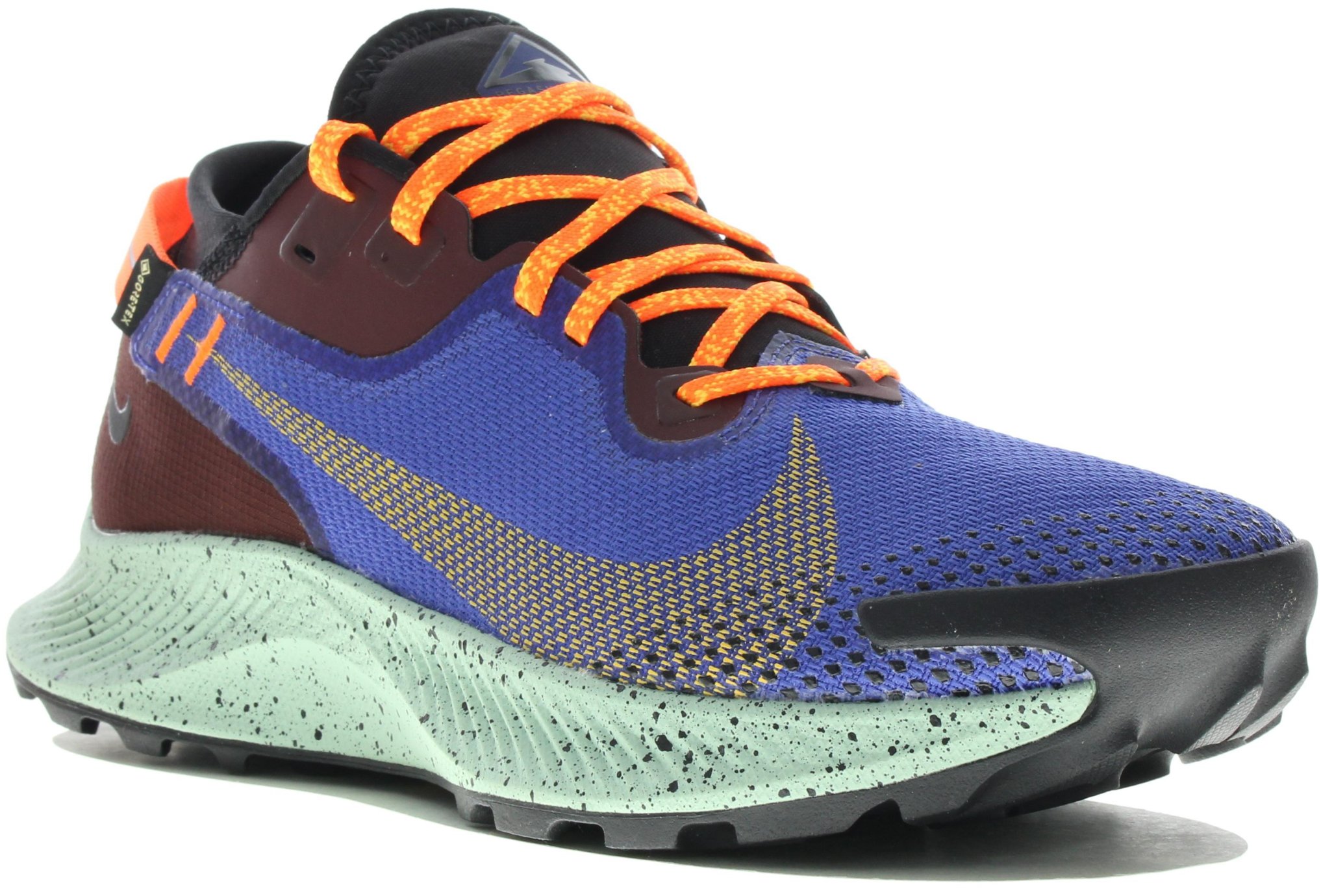 Nike Pegasus Trail 2 Gore-Tex