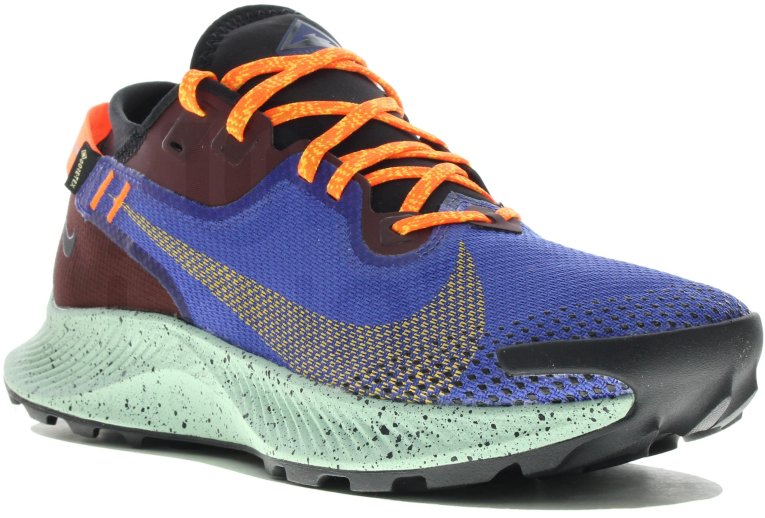 Nike Pegasus Trail 2 Gore-Tex