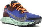 Nike Pegasus Trail 2 Gore-Tex
