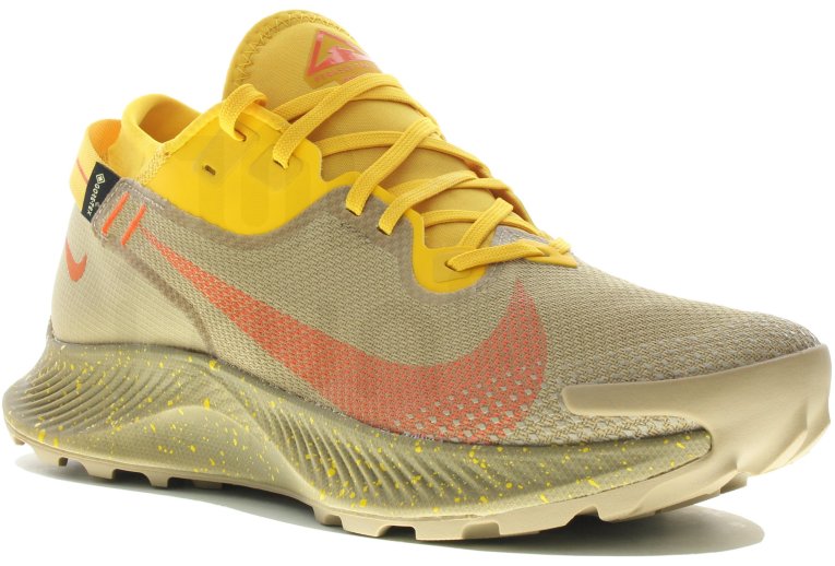 Nike Pegasus Trail 2 Gore-Tex