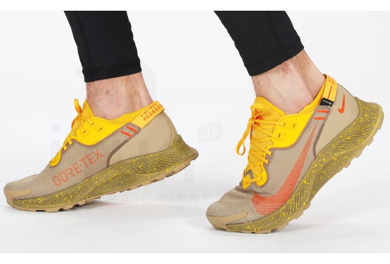 Nike Pegasus Trail 2 Gore-Tex