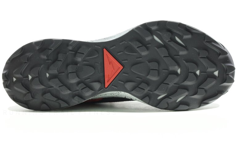 Nike Pegasus Trail 2 Gore-Tex Herren