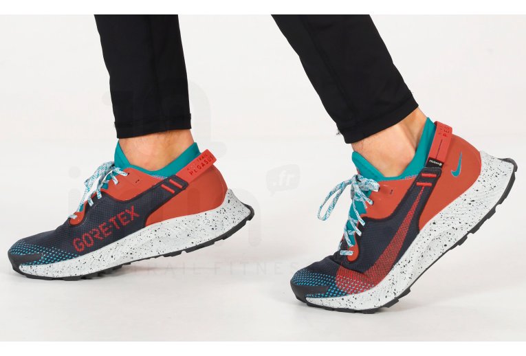 Nike Pegasus Trail 2 Gore-Tex Herren