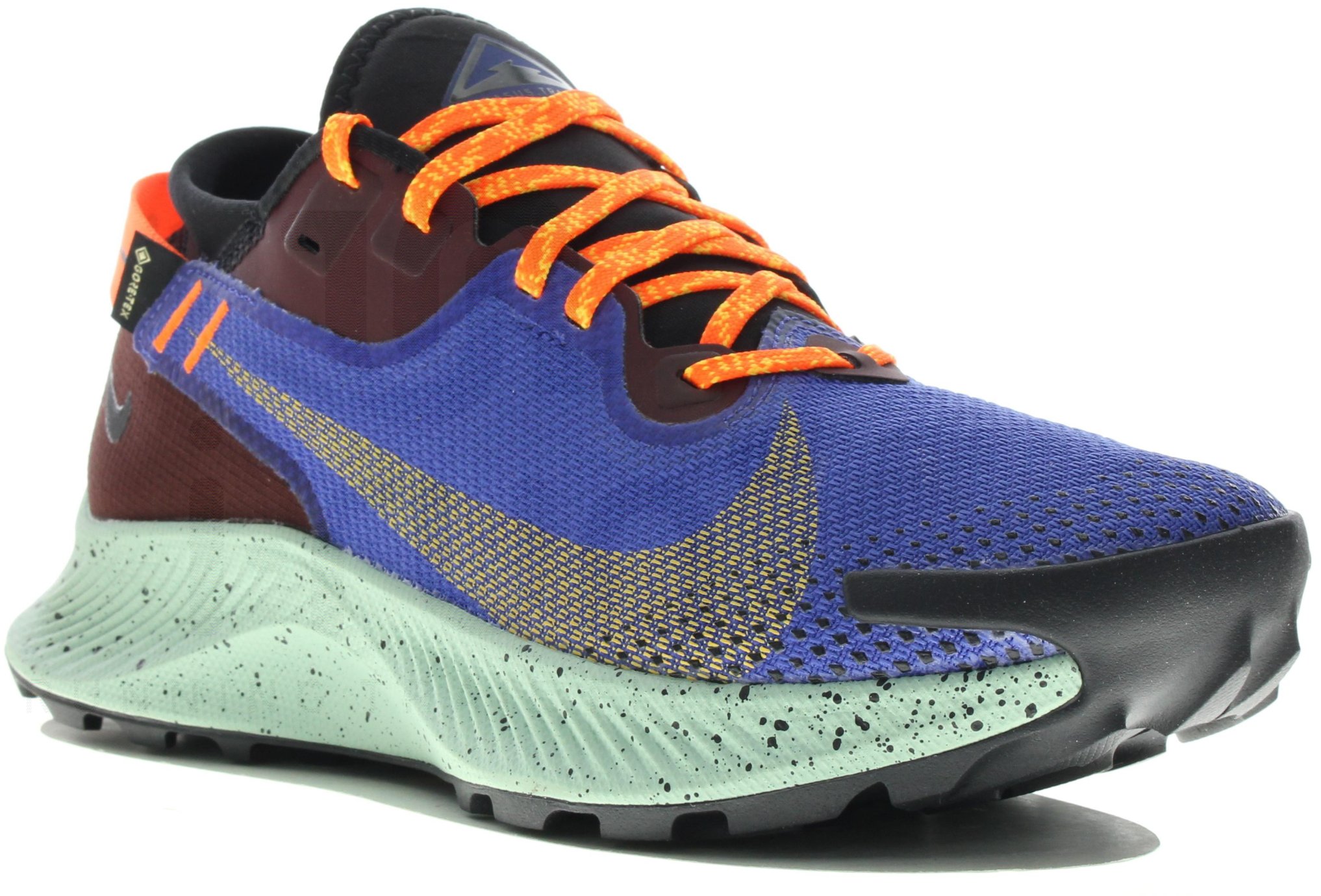 Nike Pegasus Trail 2 Gore-Tex