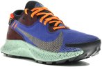 Nike Pegasus Trail 2 Gore-Tex