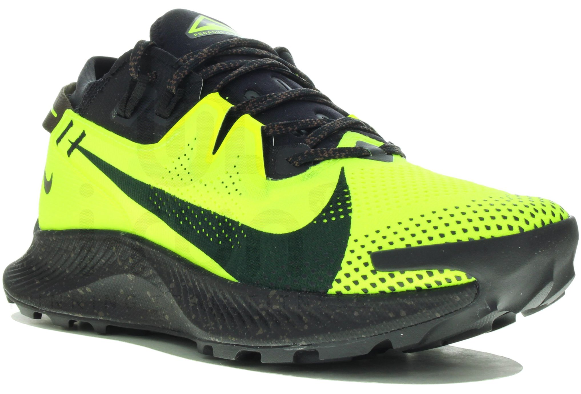 Nike Pegasus Trail 2