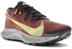 Nike Pegasus Trail 2