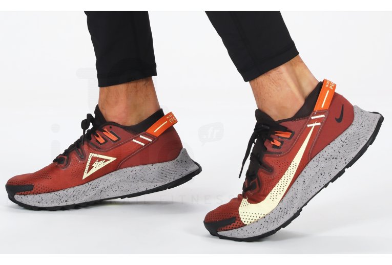 Nike Pegasus Trail 2 M 