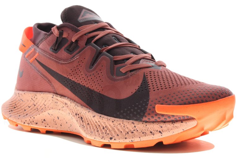 Nike Pegasus Trail 2
