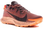 Nike Pegasus Trail 2