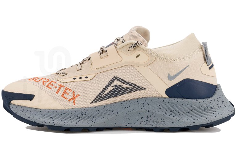 Nike Pegasus Trail 3 Gore-Tex