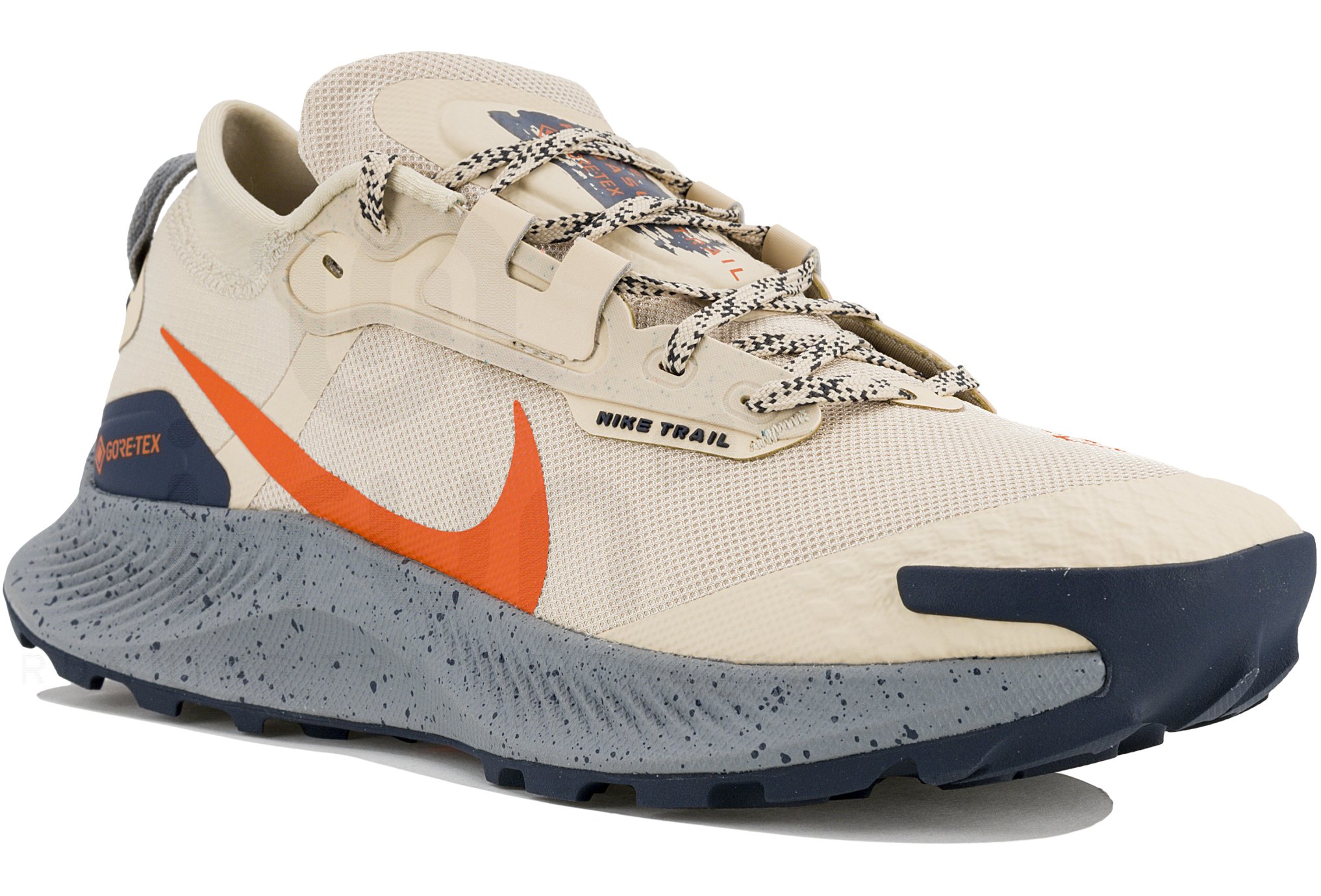 Nike Pegasus Trail 3 Gore-Tex