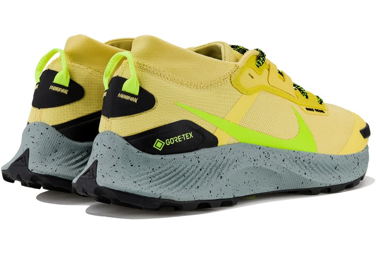Nike Pegasus Trail 3 Gore-Tex