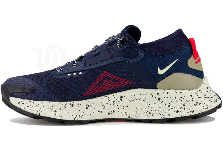 Nike Pegasus Trail 3 Gore-Tex M 