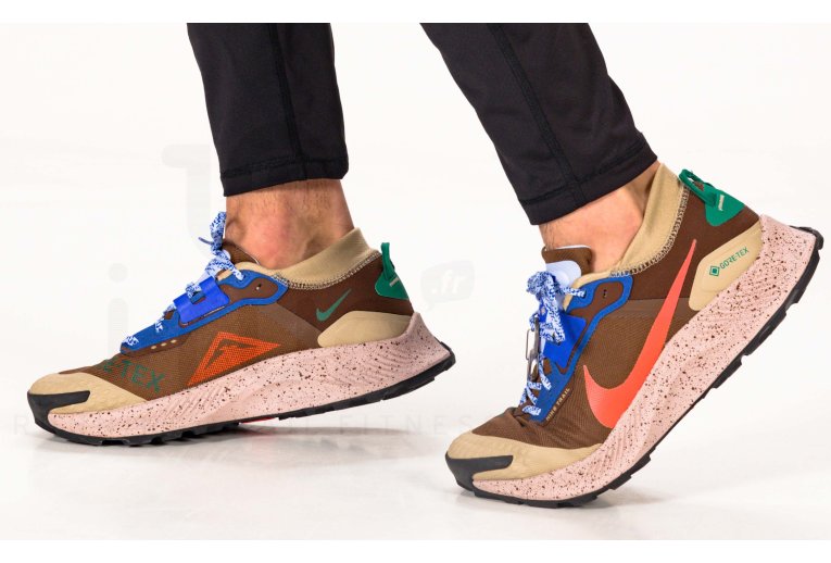 Nike Pegasus Trail 3 Gore-Tex