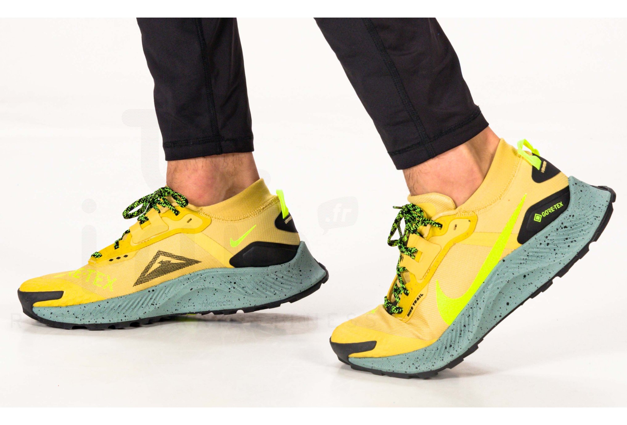 Nike Pegasus Trail 3 Gore-Tex