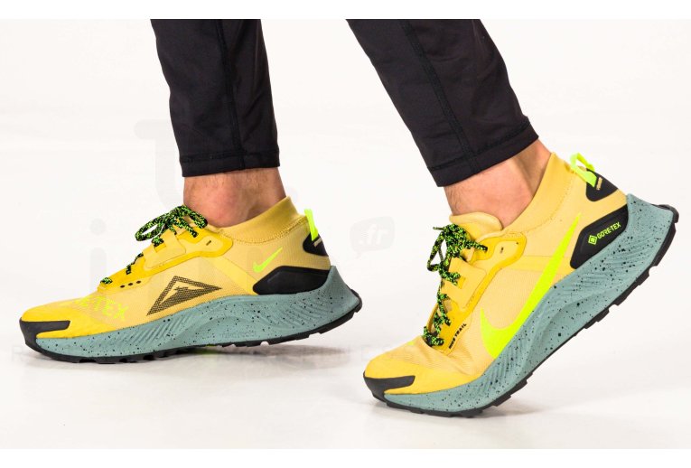 Nike Pegasus Trail 3 Gore-Tex
