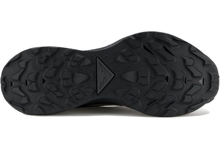 Nike Pegasus Trail 3 Gore-Tex W 