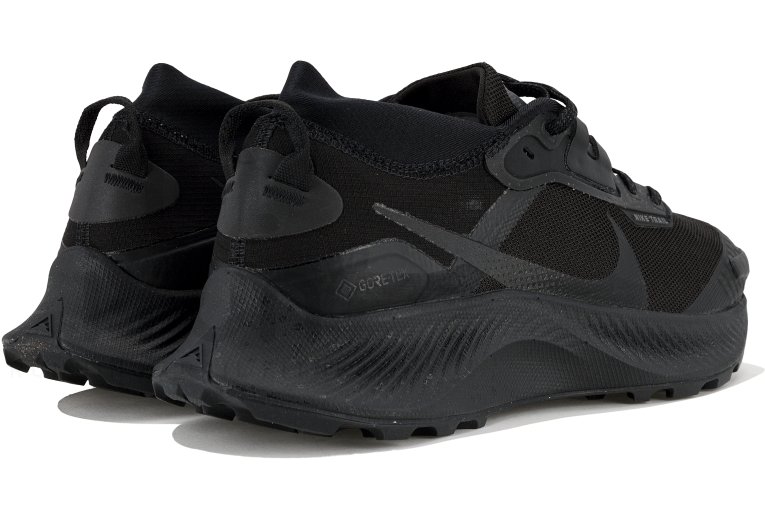 Nike Pegasus Trail 3 Gore-Tex W 