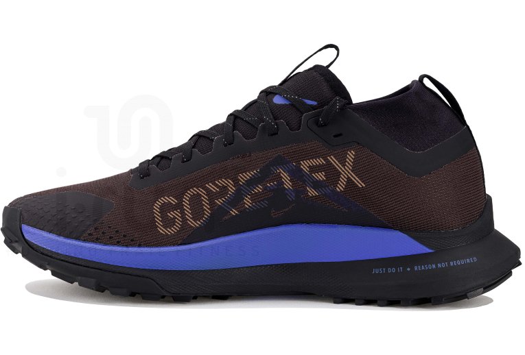 Nike Pegasus Trail 4 Gore-Tex M