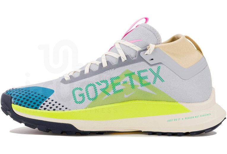 Nike Pegasus Trail 4 Gore-Tex Herren