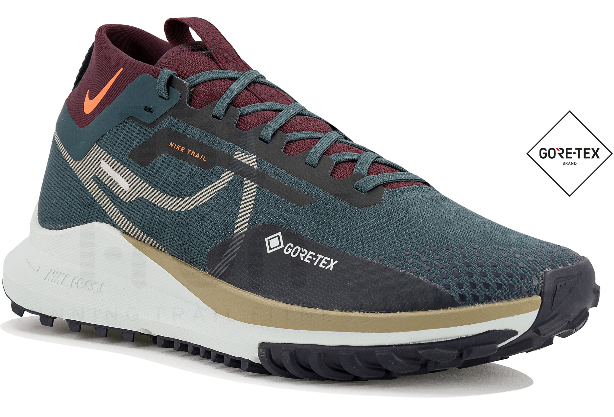 Nike Pegasus Trail 4 Gore-Tex M