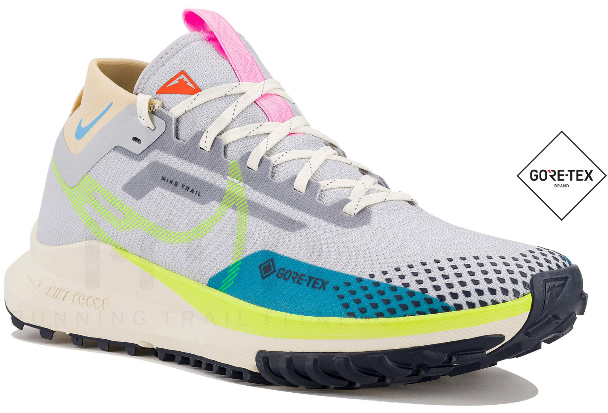 Nike Pegasus Trail 4 Gore-Tex Herren