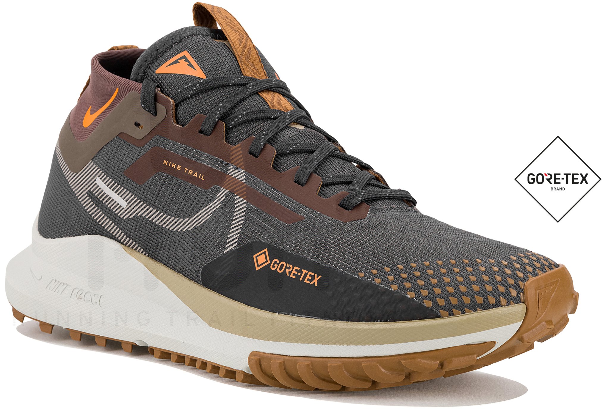 Nike Pegasus Trail 4 Gore-Tex