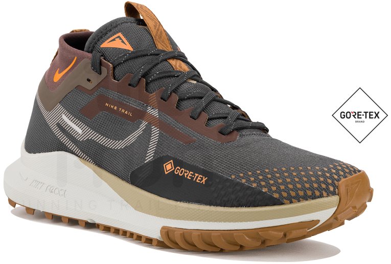 Nike Pegasus Trail 4 Gore-Tex