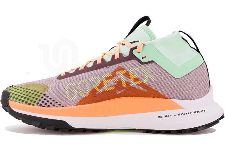 Nike Pegasus Trail 4 Gore-Tex
