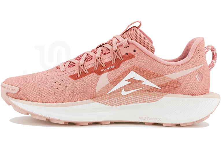 Nike Pegasus Trail 5