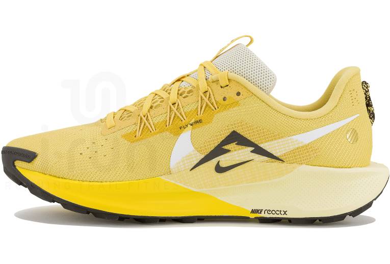 Nike Pegasus Trail 5 M