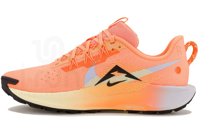 Nike Pegasus Trail 5